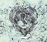 HEARTBEAT【完全限定数生産】