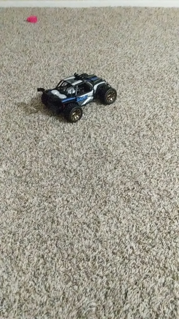 distianert rc car reviews