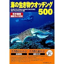海の生き物ウオッチング500 | 月刊『マリンダイビング』 |本