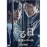 ある日～真実のベール　DVD-BOX [DVD]