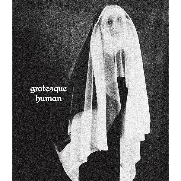 Amazon.co.jp: 完全犯罪、或いはそれに似た -毛皮のマリーズ ラスト