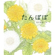 Amazon.co.jp: たんぽぽ : 荒井真紀, 荒井真紀: Japanese Books