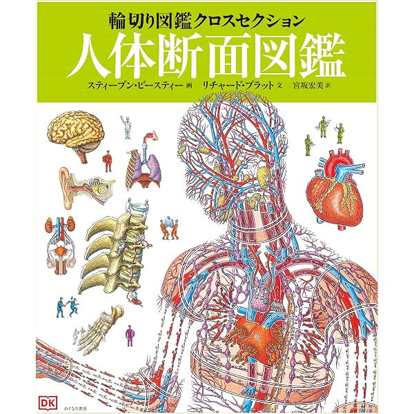 Amazon.co.jp: 輪切り図鑑クロスセクション 全5巻 : スティーブン