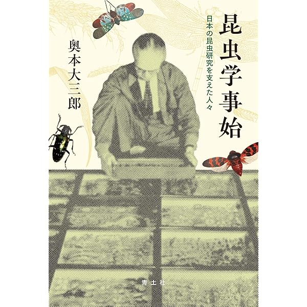 世界の考古学 驚きの発見 A1XDH+dlVnL._AC_UF350,