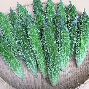 沖縄県産 沖縄産ゴーヤー1ｋｇ 沖縄の八百屋さん ゴーヤ 通販 Amazon