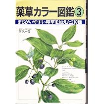 薬草カラー図鑑 1 | 伊澤 一男 |本 | 通販 | Amazon