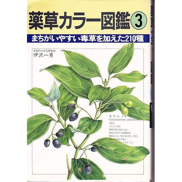 薬草カラー図鑑 1 | 伊澤 一男 |本 | 通販 | Amazon