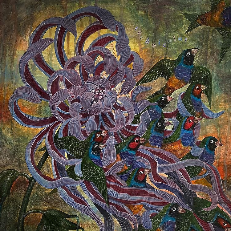 Amazon.co.jp: EFFLORESCE: ミュージック