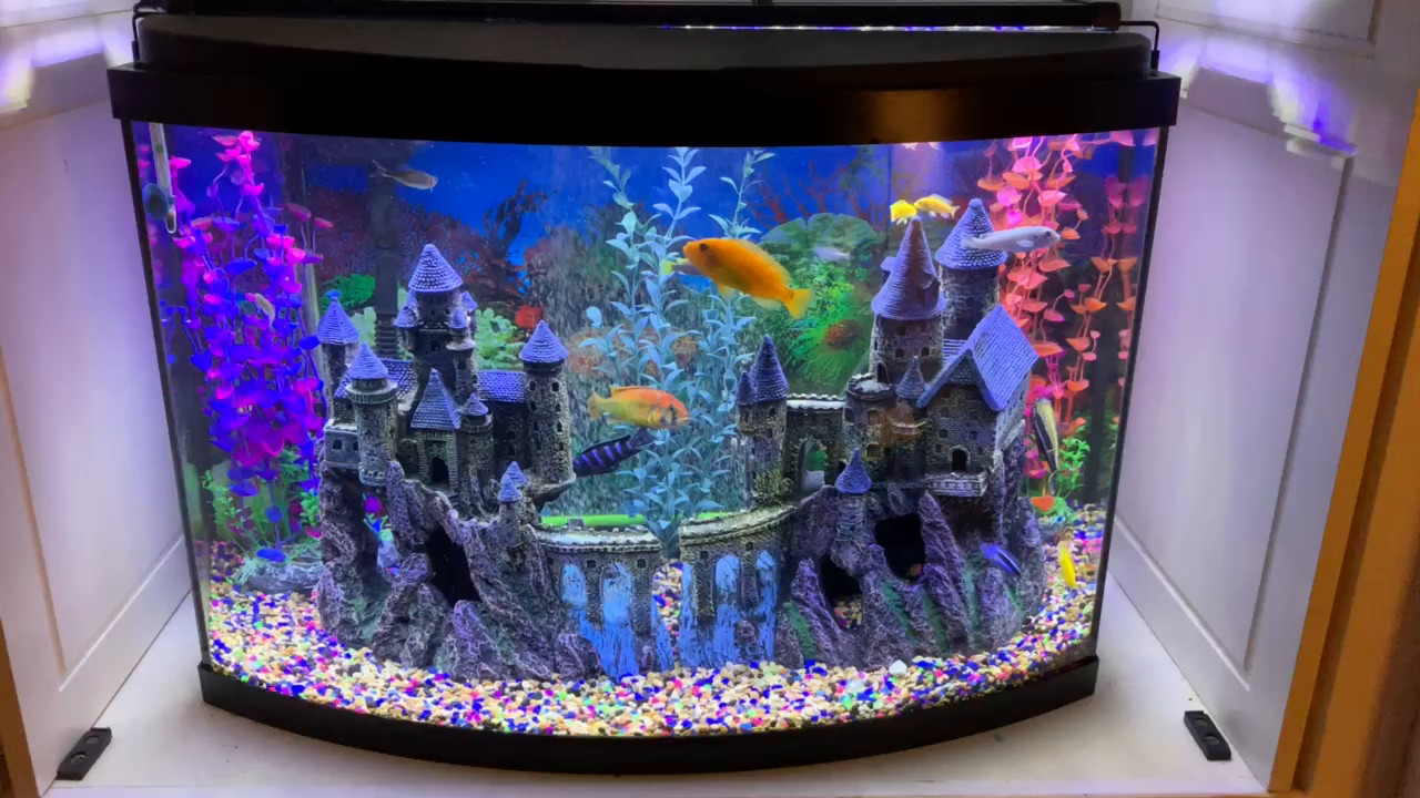 Penn Plax Castle Aquarium Decoration Hand Painted With Realistic