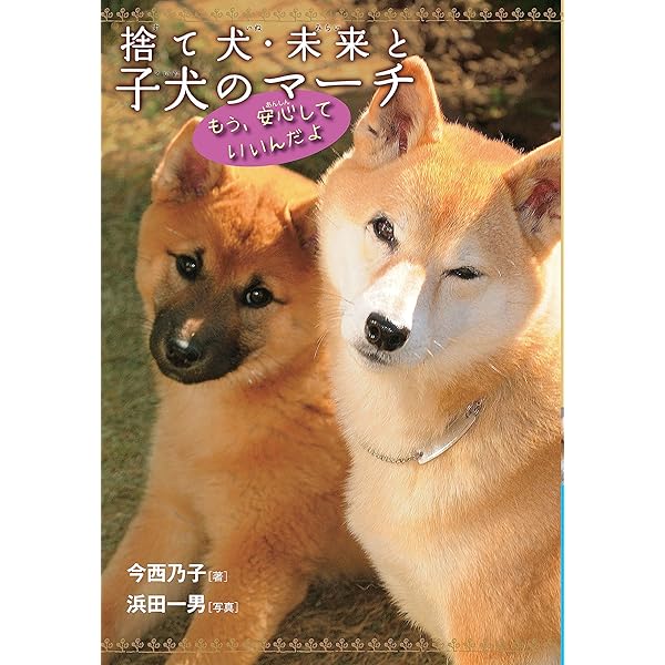 Amazon.co.jp: しあわせのバトンタッチ－障がいを負った犬・未来