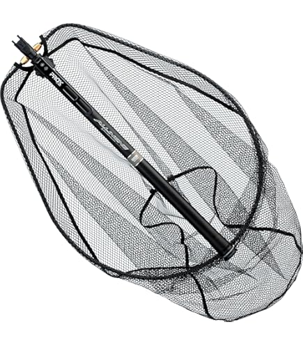 Amazon.co.jp: ラパラ(Rapala) RCD 150cm ロールルーラー RCD