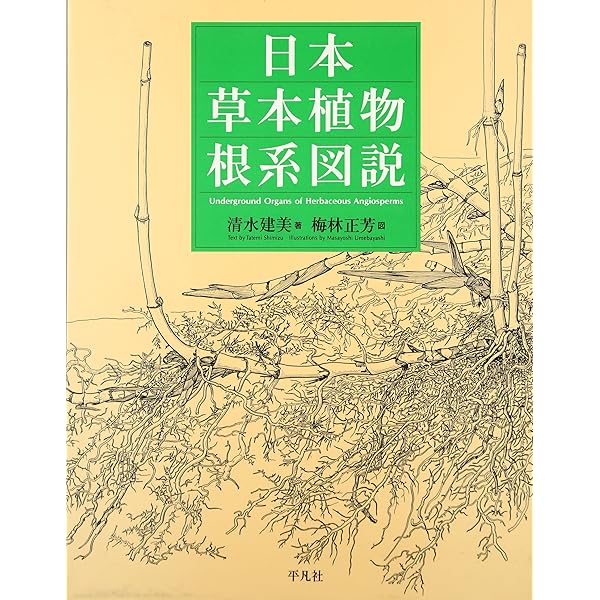 Amazon.co.jp: 日本産樹木実生図譜 : 梅林正芳: 本