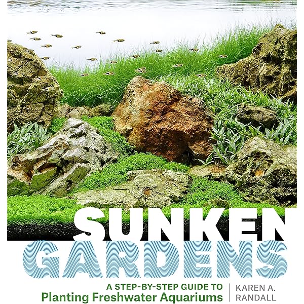 趣味・スポーツ・実用 NATURE AQUARIUM WORLD BOOK ONE Nature Aquarium World: Book One (Natural Aquarium World): Bk