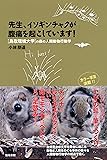 先生、イソギンチャクが腹痛を起こしています!: 鳥取環境大学の森の人間動物行動学 (先生!シリーズ)