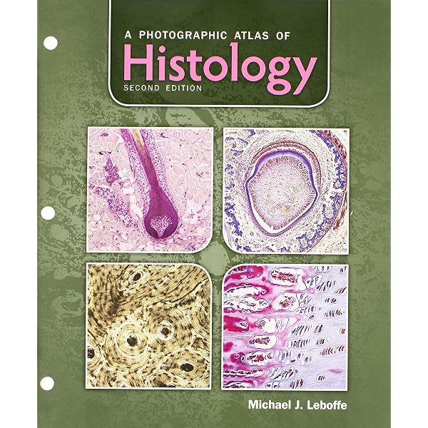 An Atlas of Histology : Zhang, Shu-Xin: Amazon.com.au: Books