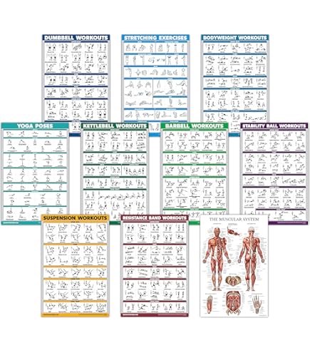 Amazon.co.jp: (Intermediate/Advanced Cadillac) - Stott Pilates