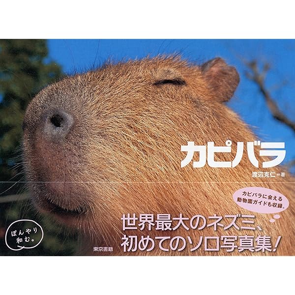 カピバラページ 1713609629-2732x3400.png.0.