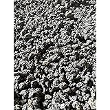 Amazon ｎｏ ３２ ｖｏｌｃａｎｏ 溶岩砂 ９リットル ６０ｃｍ水槽用 底床 通販