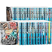 女神の鬼 全１〜29巻初版セット 田中宏　貴重 女神の鬼 全29巻完結セット (ヤングマガジンコミックス) | 田中