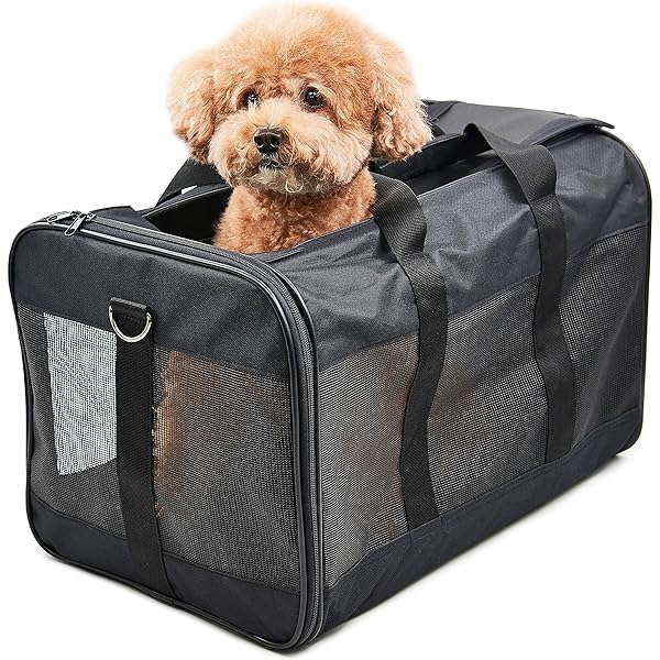Shirube特別価格PPOGOO Large Pet 22lb(10KG) Carriers Travel Porta好評販売中 Soft Sided 犬服、アクセサリー kochi