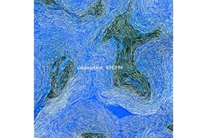 834.194 (通常盤[2CD])