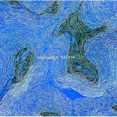 Amazon.co.jp 売れ筋ランキング: undefined の中で最も人気のある商品です