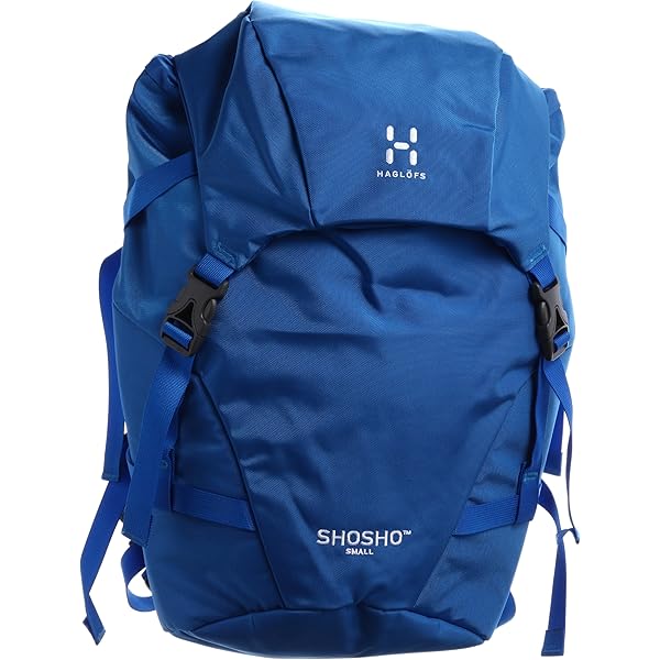 ホグロフス SHOSHO LARGE リュック 青 Amazon.co.jp: [ホグロフス] SHOSHO LARGE 323003-2AM-ONE 2AM