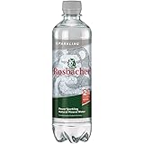 ROSBACHER ロスバッハー(発泡) 500ml×24本
