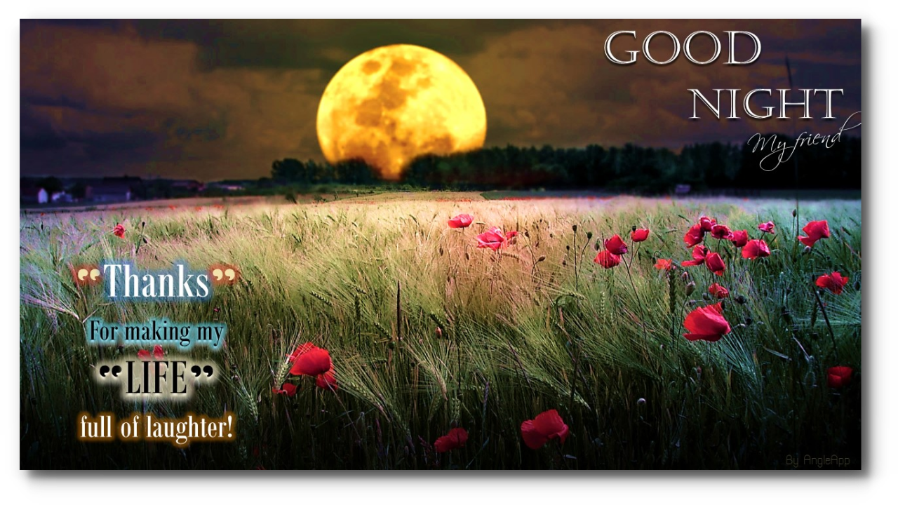 good night beautiful