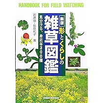 A1QMoC7CpSL._AC_UL210_SR210,