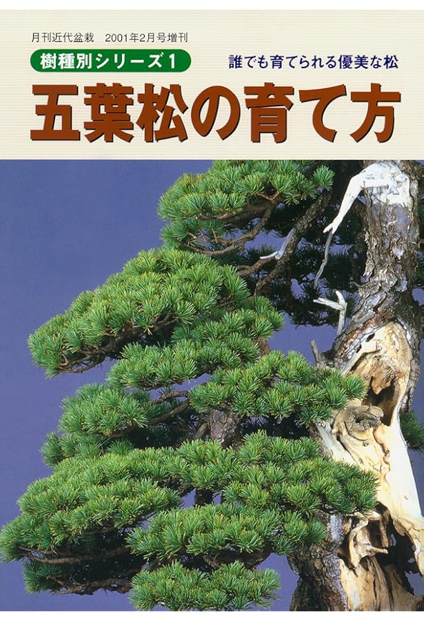 Amazon.co.jp: 黒松の育て方 : Japanese Books