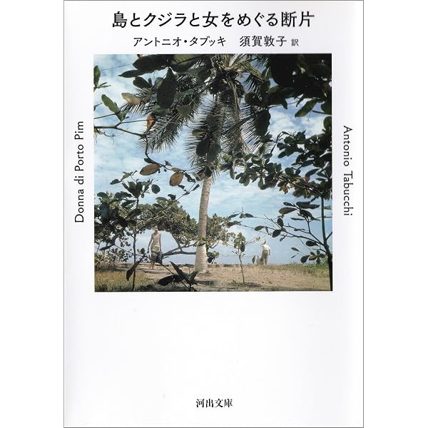 Amazon.co.jp: ビッグ・サーの南軍将軍 (河出文庫) eBook : リチャード