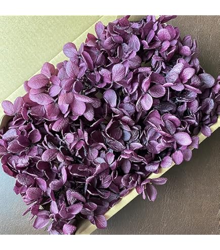 プリザーブドフラワー ソフトピラミッドアジサイ ネイビーブルー紫陽花 あじさい プリザーブドフラワー /ソフトピラミッドアジサイ ネイビーブルー