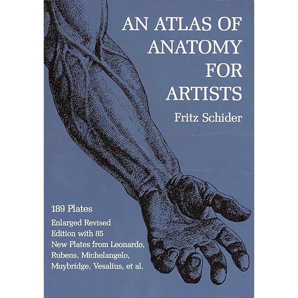 Amazon | Drawing the Living Figure (Dover Anatomy for