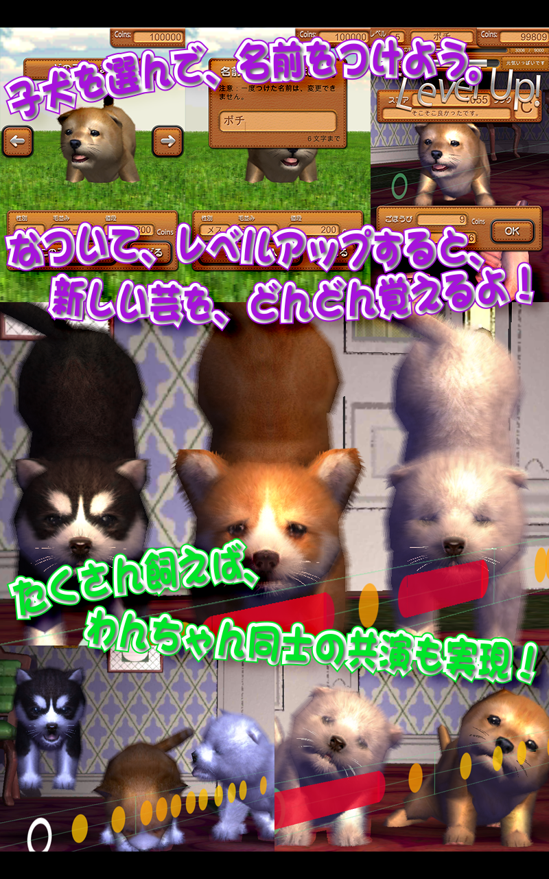 Amazon Co Jp 動物ダンス 子犬 Android アプリストア