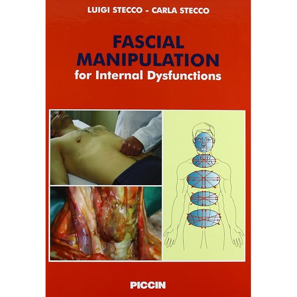 Fascial manipulation. Superficial fascia and systems. Practical
