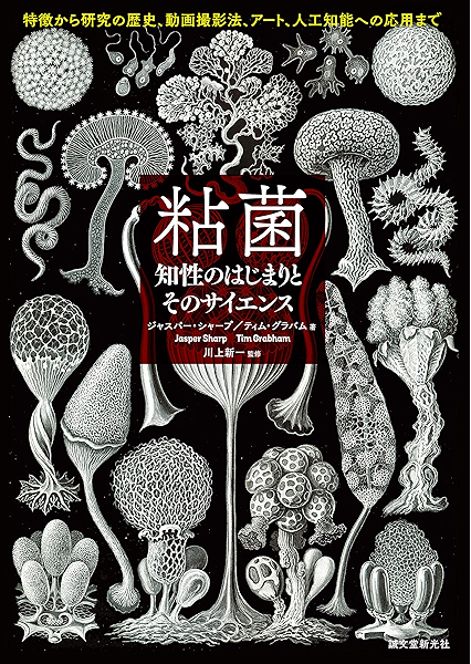 粘菌 知性のはじまりとそのサイエンス 特徴から研究の歴史 動画撮影法 アート 人工知能への応用まで ジャスパー シャープ ティム グラバム 川上 新一 コンピュータサイエンス Kindleストア Amazon