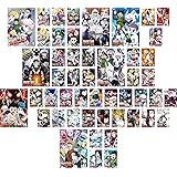 HUNTER×HUNTER ハンター ハンター [レンタル落ち] 全49巻セット [マーケットプレイスDVDセット商品]