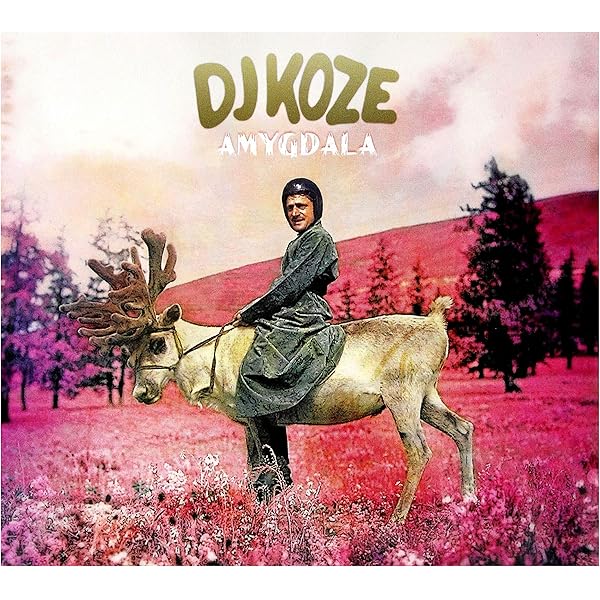 邦楽 DJ Koze - Knock Knock (2xLP, Album + 7\") DJ Koze - Knock Knock - Amazon.com Music