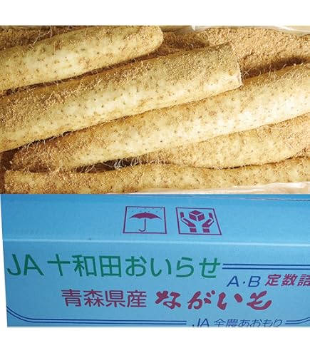 Amazon.co.jp: Japanese Yam (Gift) 3L - 4L Size Long Potato