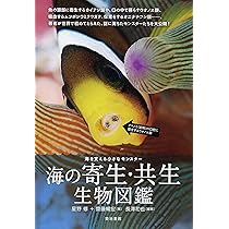 A1WidqZNC1L._AC_UL210_SR210,