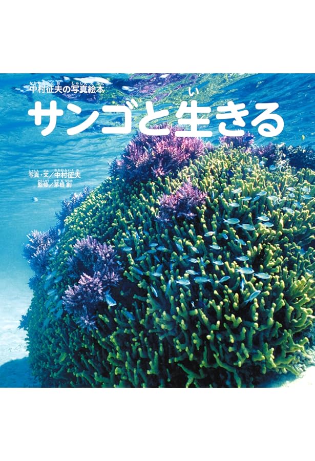 海の画廊「珊瑚海の午後」 Amazon.co.jp: サンゴの海 : 長島 敏春, 長島 敏春: 本