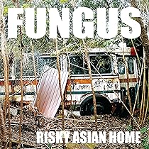 Amazon.co.jp: FUNGUS: ミュージック