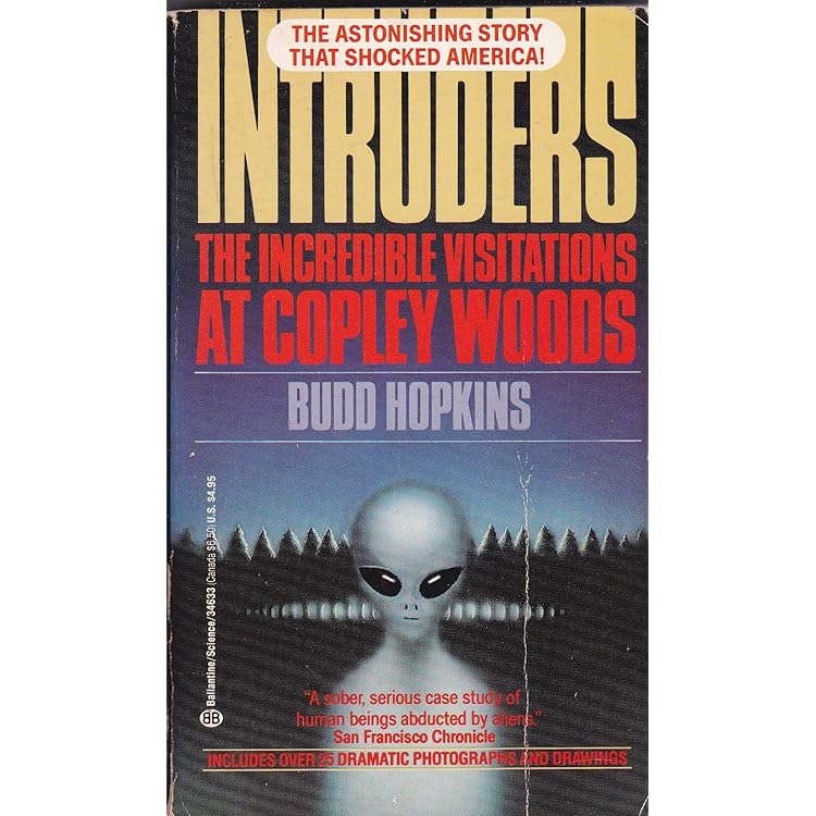 洋書 MISSING TIME by Budd Hopkins Missing Time, by Hopkins, Vintage Paperback, 1998, UFO