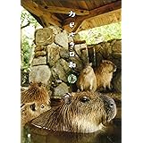 カピバラ日和 [DVD]