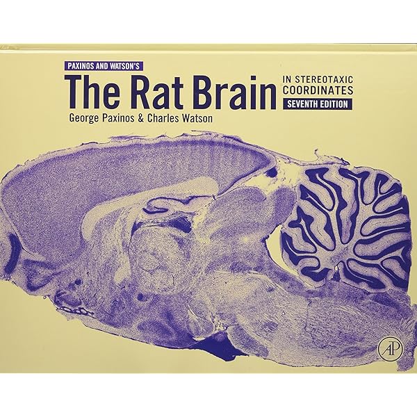 NEUROSCIENCE 第5版 リング製本版 NEUROSCIENCE 第5版 リング製本版