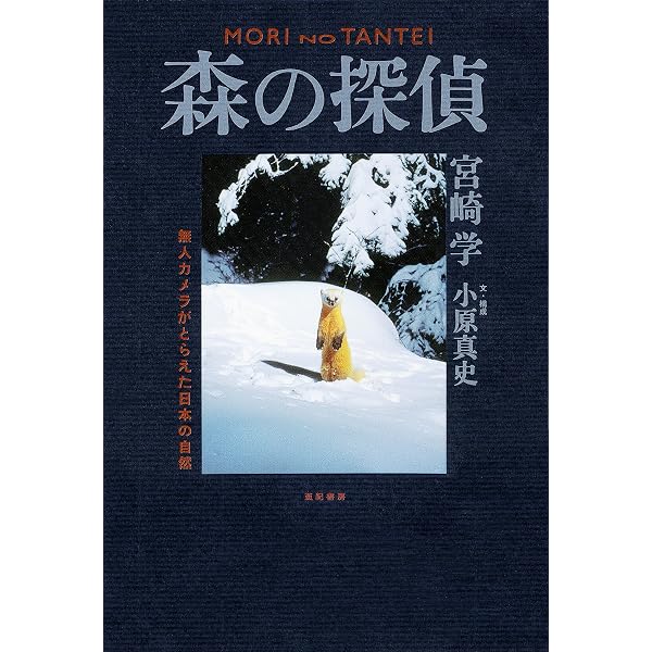 アニマルアイズ: 動物の目で環境を見る (2) | 宮崎 学 |本 | 通販 | Amazon