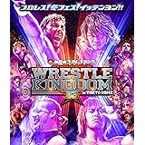 レッスルキングダム13 2019.1.4 TOKYO DOME [DVD]