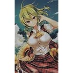 東方Project FVGA(480×800)壁紙 風見幽香 ( かざみゆうか )  東方Project FVGA(480×800)壁紙 風見幽香 ( かざみゆうか )