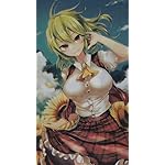 東方Project XFVGA(480×854)壁紙 風見幽香 ( かざみゆうか )  東方Project XFVGA(480×854)壁紙 風見幽香 ( かざみゆうか )